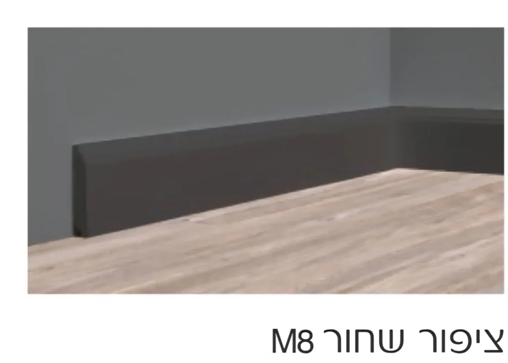 ציפור שחור 22